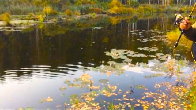 Рыбалка на спиннинг  в заводях реки на крайне деревни Пьянково..mp4