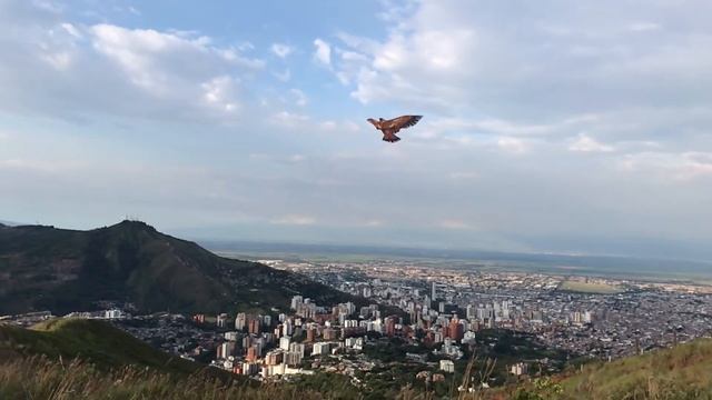 Cristo rey near Cali in Colombia - White Christ смотреть онлайн