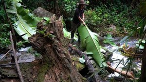 Bamboo Overnight Shelter, Fish Trap: Survival Alone | EP.143