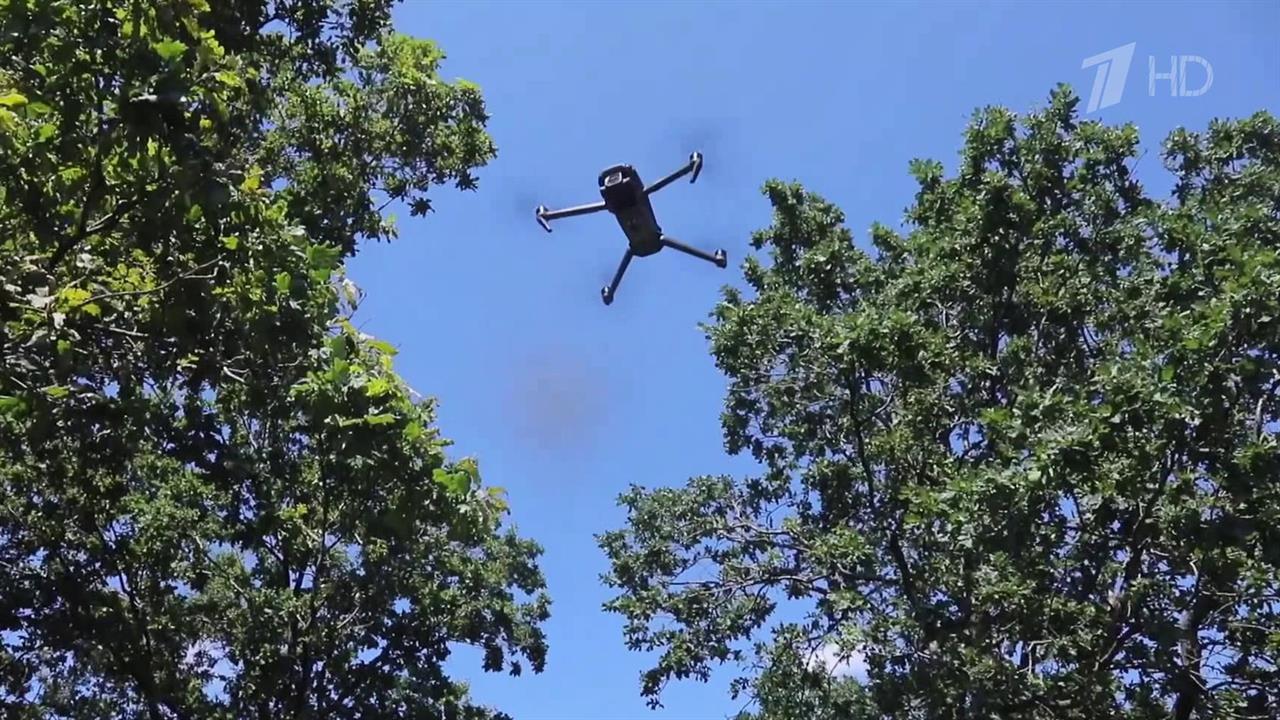 37 ударных беспилотников за сутки были сбиты российскими подразделениями на разных направлениях СВО