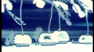 Теплый Хлеб 1973   сказки К  Паустовского