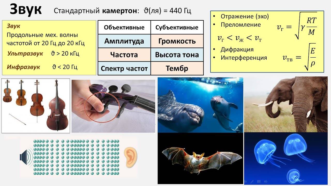 Рассмотрение темы: "Звук"