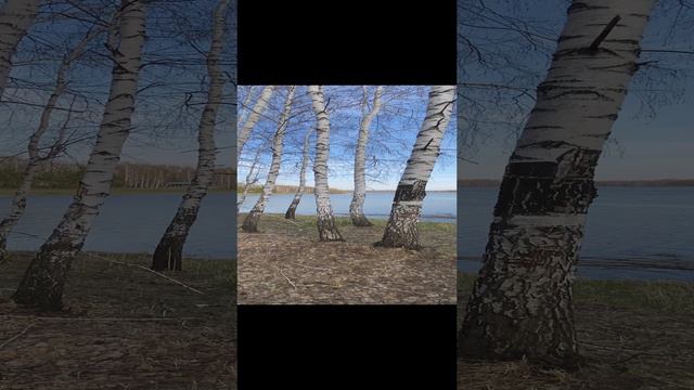 Красота Алтайского края 😺
