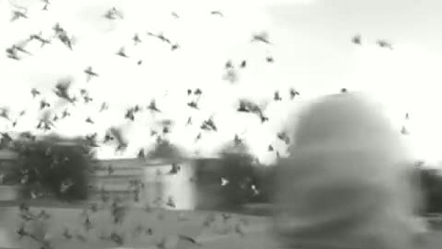 ТСЛ-сюита, ч.3b/The Lavra suite, mov.3b смотреть онлайн