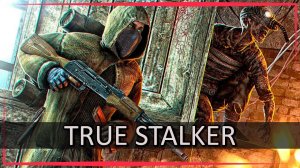 TRUE STALKER -  ⚡️ ПЕРВЫЙ ВЗГЛЯД И ОБЗОР ⚡️