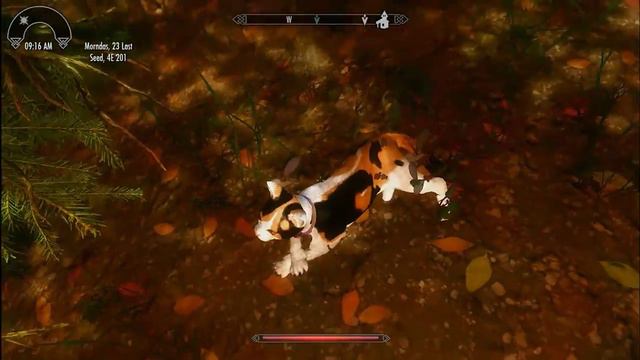 小夜Cathy遊戲實況: 「Skyrim」【主線任務】EP.5 — 灰鬍子的召喚 смотреть онлайн