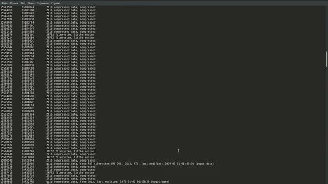 Очищенный дамп видеорегистратора смотреть онлайн