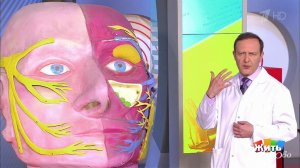 Синусит и гайморит - последствия насморка. Жить здорово! Фрагмент выпуска от 15.03.2017