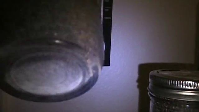 mycelium jars colonizing смотреть онлайн