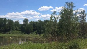 Незаконная добыча россыпного золота в Маслянинском и Тогучинском районах Новосибирской области