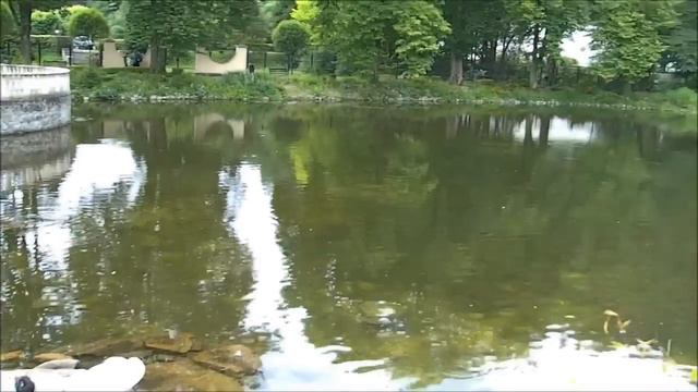 Kúpele Rajecké Teplice смотреть онлайн