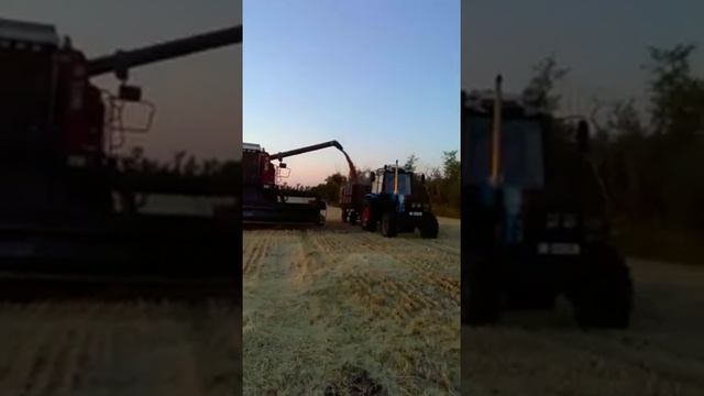 Гоночный трактор на сельхоз работах.