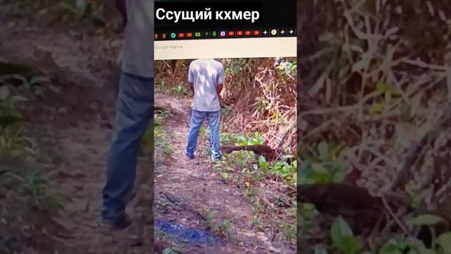 Остров Ронг, карты гугл и ссущий человек #камбоджа