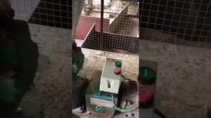 Гранулятор ZLSP-120. Агростарт. Отзыв покупателя после двух лет эксплуатации