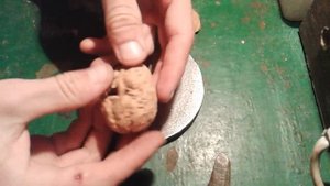 Как достать целое ядро из грецкого ореха? / How to get the whole kernel of a walnut?