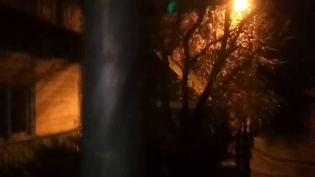 Делаю забор из металлопрофиля. Выставляю нивелиром уровень для профилей.