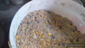 ✔Яйца Круглый Год!//Что Делать Чтобы Куры Неслись и Зимой и Летом?!/Состав Мешанки//Норма Корма.