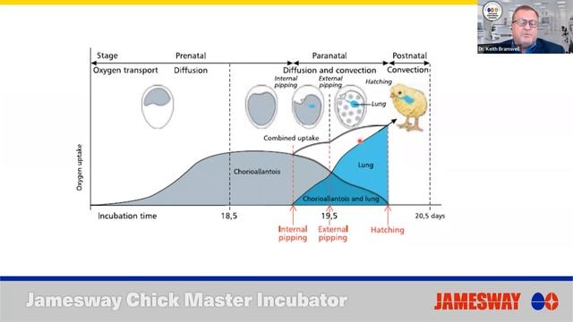 Truth about the Hatch Window смотреть онлайн