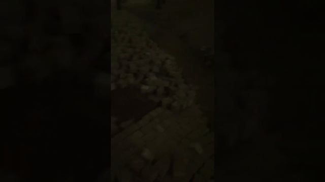 Откопаный Политехнический музей в Москве.