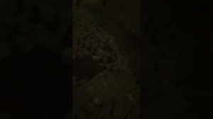 Откопаный Политехнический музей в Москве.