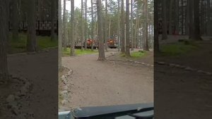 Санкт-Петербург- ДОУ "Счастливый день"(Ладожское озеро)