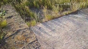 Бековский район. Плодосовхозный пруд.