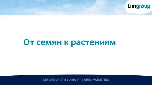 3. Stephan Pohl. Как вырастить спаржу из семян. смотреть онлайн