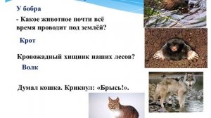 Экологическая игра викторина «В гостях у леса»