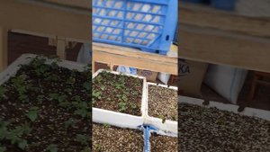 Био органические удобрение Проростим.