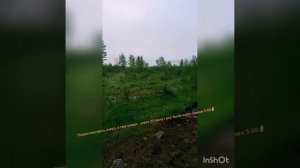 #Таглей