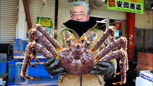 ГИГАНТСКИЙ АЛЯСКИНСКИЙ КОРОЛЕВСКИЙ КРАБ Сашими Хакодате Хоккайдо Морепродукты