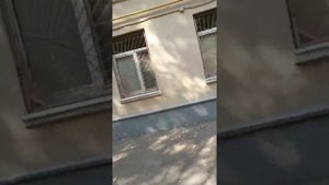 Дом слоёный пирог (Вишняковский переулок, 23)