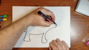 Как нарисовать медведя, how to draw a bear