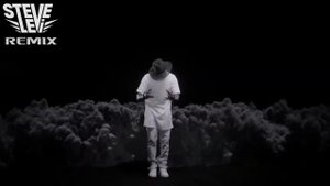 WILLY WILLIAM Ego Steve Levi Remix