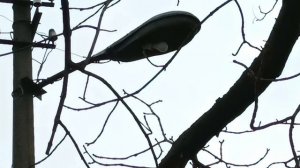 Старый уличный фонарь ORZ-7   с LED лампой.