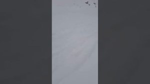 погода в горах Дагестана сегодня