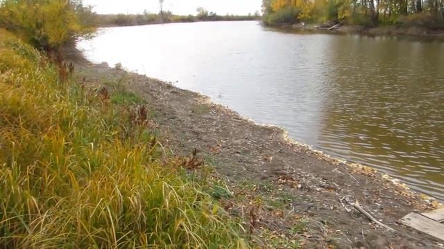 река ВАВИЛОН в Алтайском крае смотреть онлайн