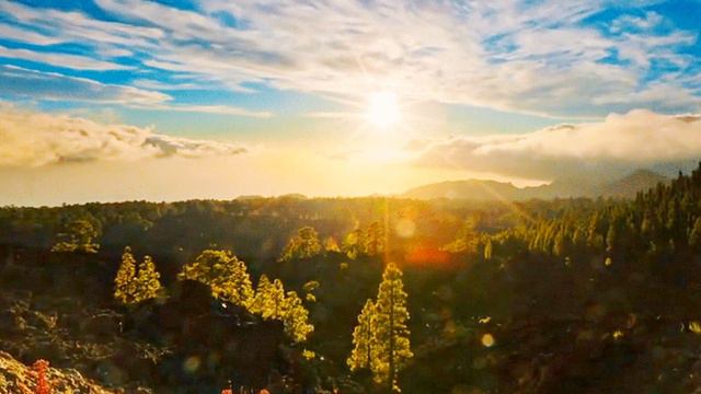 Я С ЛЮБИМЫМ УШЛА НАВСЕГДА Исполняет Елена Саларёва смотреть онлайн