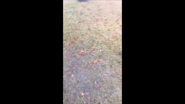 Yard Drainage And French Drains In McKinney, Sherman, Plano, And Collin And Grayson Counties смотреть онлайн