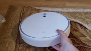 АЛИСА 3 - ОЗВУЧКА ДЛЯ РОБОТА ПЫЛЕСОСА XIAOMI