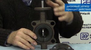 Школа трубопроводной арматуры (ТПА). Дисковый затвор