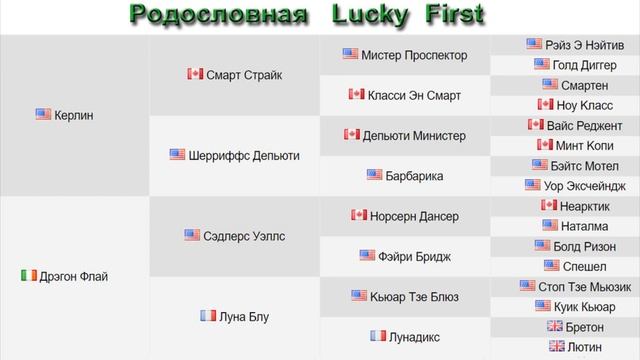 Продажа Чк кобылка 2022г. Lucky First - Добрая Весть ЦЕНА по тел +79883400208 Telegram WhatsApp смотреть онлайн