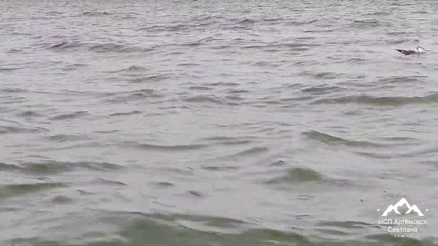 Релакс. Звуки моря , шум прибоя , волны ! Sound of the sea. Relax .