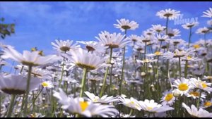 Заставки рекламы Пятница! май 2022