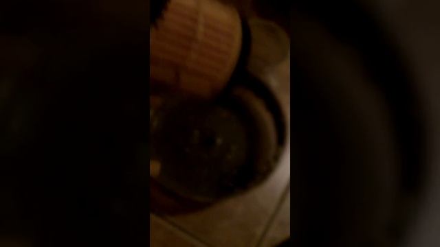 Пылесос с аквафильтром