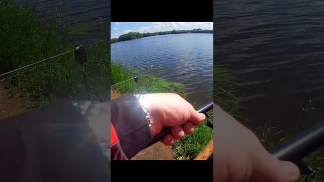 Лещик на рыбалке #рыбалкавидео #рыбалка #fishing