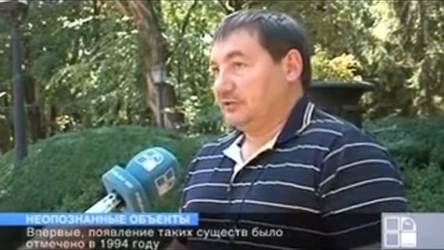 В Старом Орхее появились таинственные существа  Страшное интересное и невероятное видео, явление