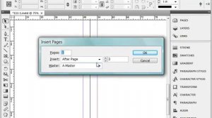 Добавление страниц в документ в Adobe InDesign CS4 (18/41)