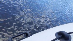 Покатушки на водомете 9.9(15) р.Сакмара Чураево-Акчура