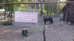 Где отдохнуть в Ленинградской области